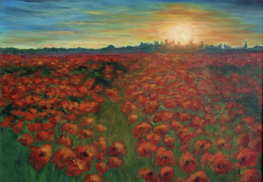 Veld met klaprozen